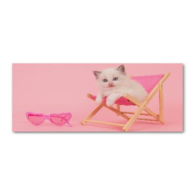 Foto obraz szkło akryl Kot na leżaku