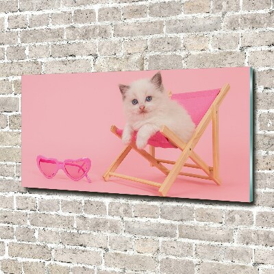 Foto obraz szkło akryl Kot na leżaku