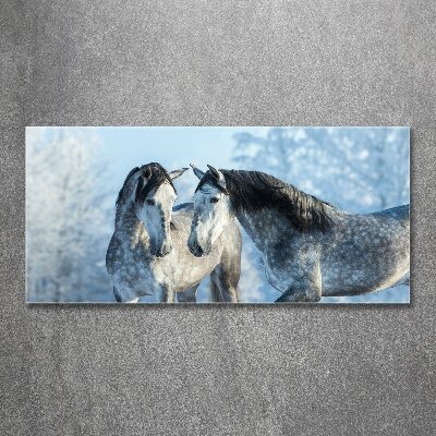 Foto obraz szkło akryl Szare konie zimą