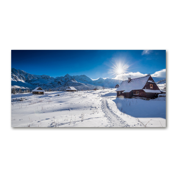 Foto obraz na ścianę akryl Hale Tatry