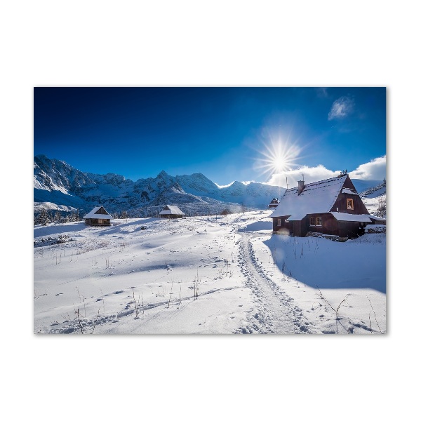 Foto obraz na ścianę akryl Hale Tatry