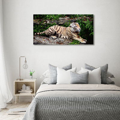 Foto obraz szkło akryl Tygrys na skale