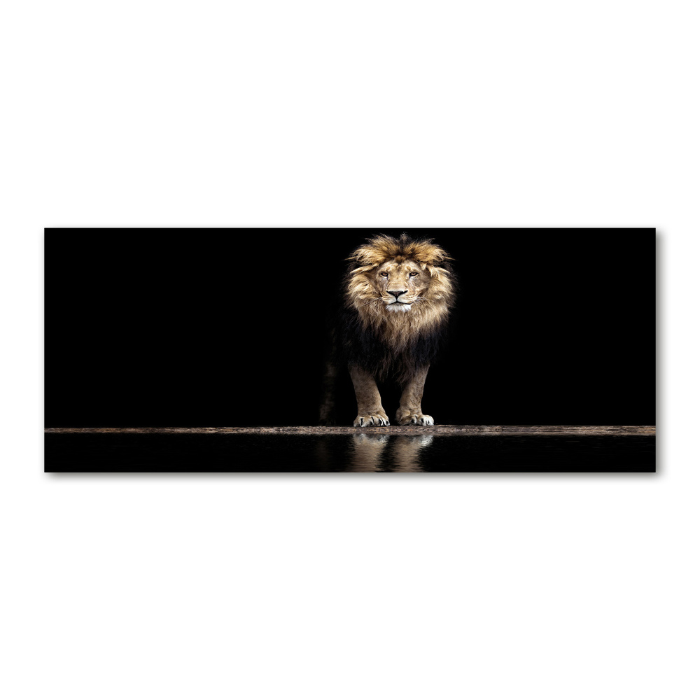 Foto obraz szkło akryl Portret lwa