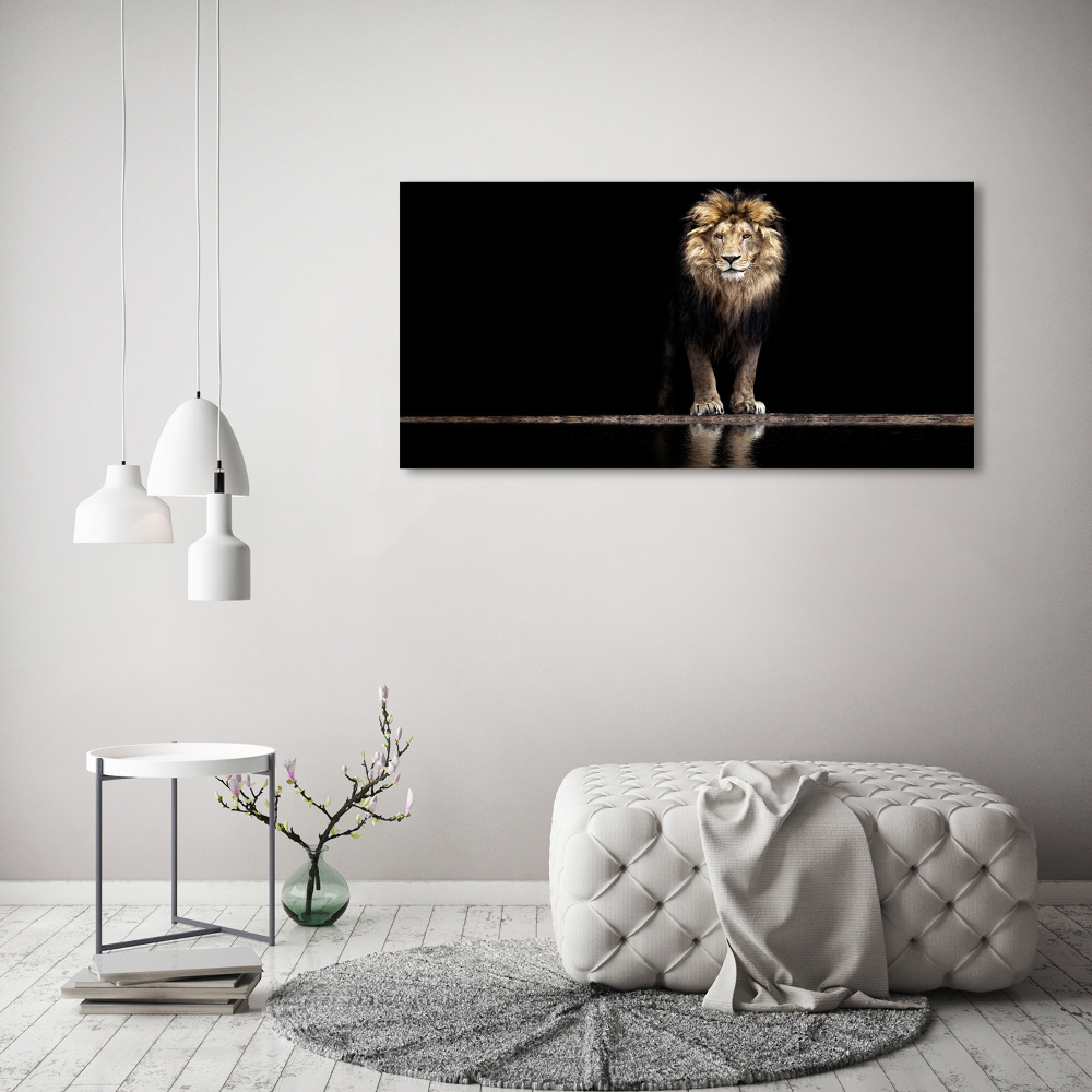 Foto obraz szkło akryl Portret lwa