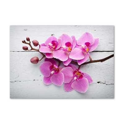 Obraz zdjęcie akryl Orchidea na drewnie