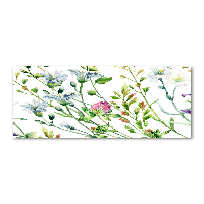 Obraz zdjęcie szkło akryl Dzikie kwiaty