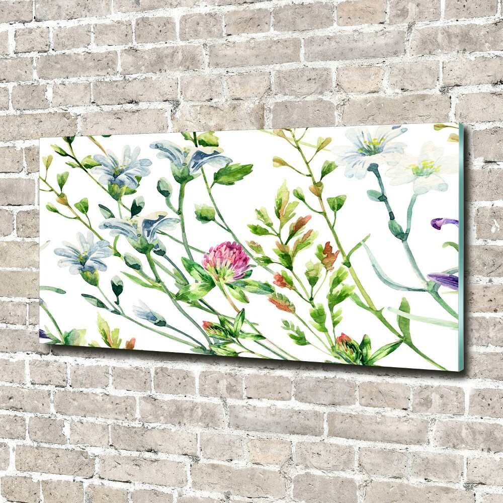 Obraz zdjęcie szkło akryl Dzikie kwiaty