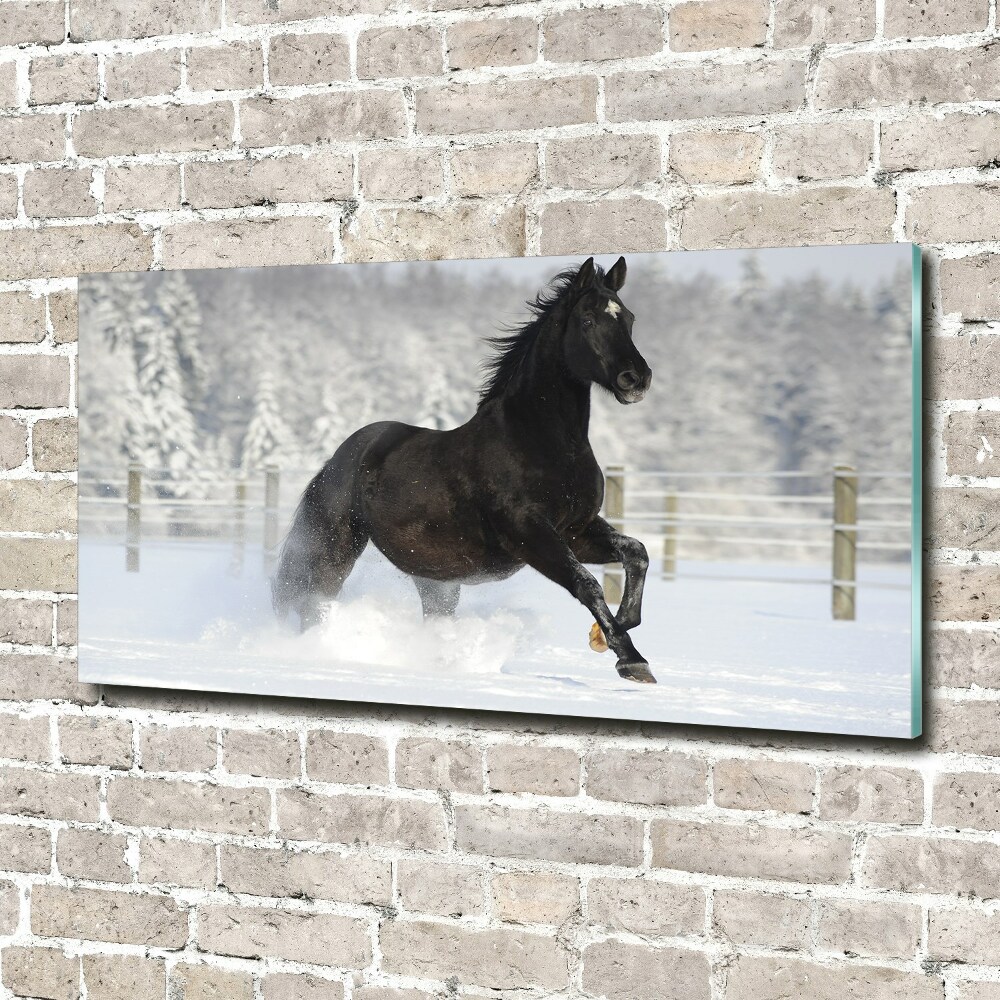 Foto obraz akryl Koń w galopie śnieg