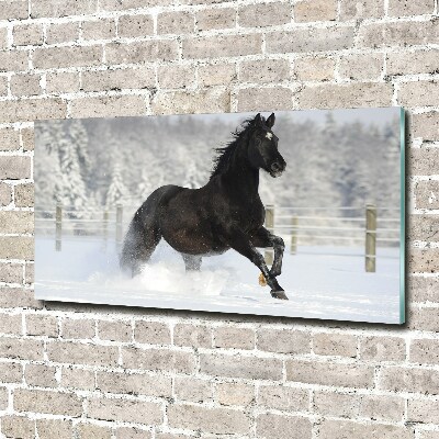 Foto obraz akryl Koń w galopie śnieg