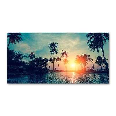 Foto obraz akryl Zachód słońca palmy
