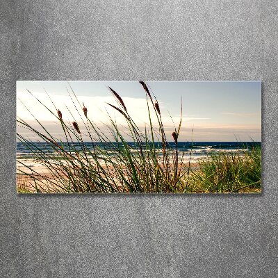Foto obraz szkło akryl Nadmorskie wydmy