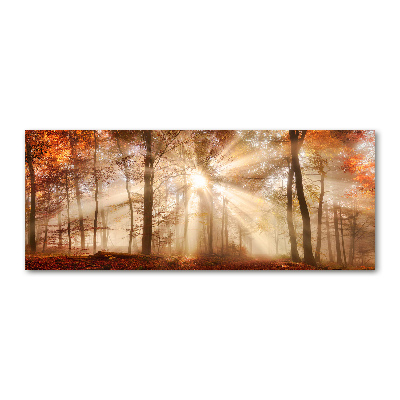 Foto obraz akryl Mgła w lesie jesień