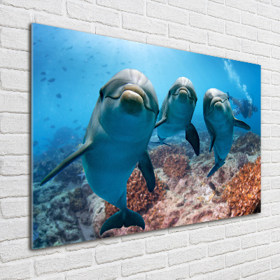 Foto obraz na scianę akrylowy Delfiny