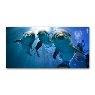 Foto obraz szkło akryl Trzy delfiny