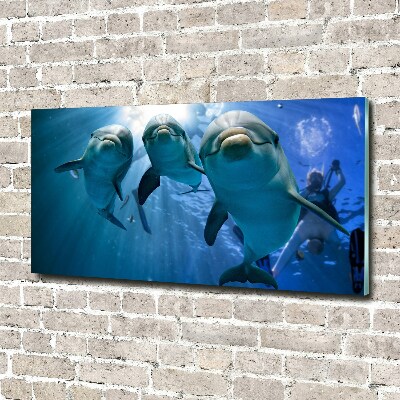Foto obraz szkło akryl Trzy delfiny
