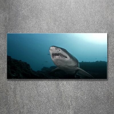 Foto obraz na ścianę akryl Duży rekin