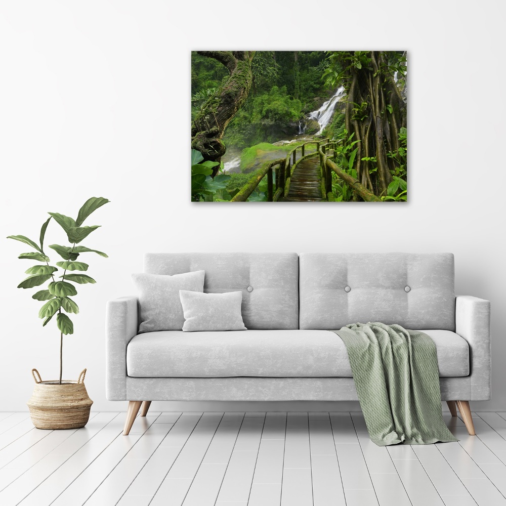 Foto obraz akryl Wodospad w dżungli