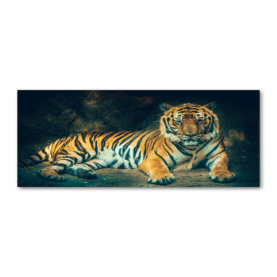 Foto obraz szkło akryl Tygrys w jaskini