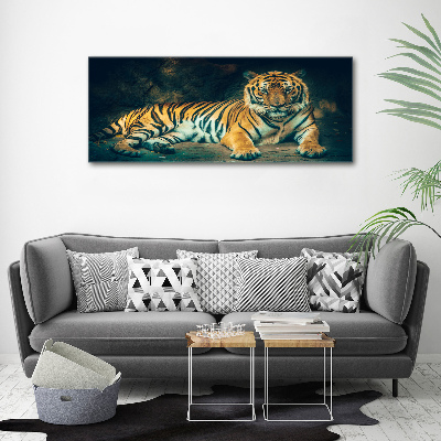 Foto obraz szkło akryl Tygrys w jaskini