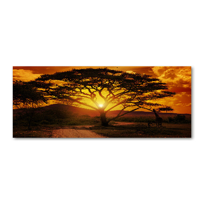 Foto obraz szkło akryl Zachód Afryka