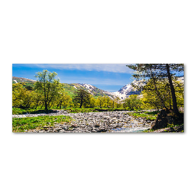 Foto obraz szkło akryl Rzeka w górach
