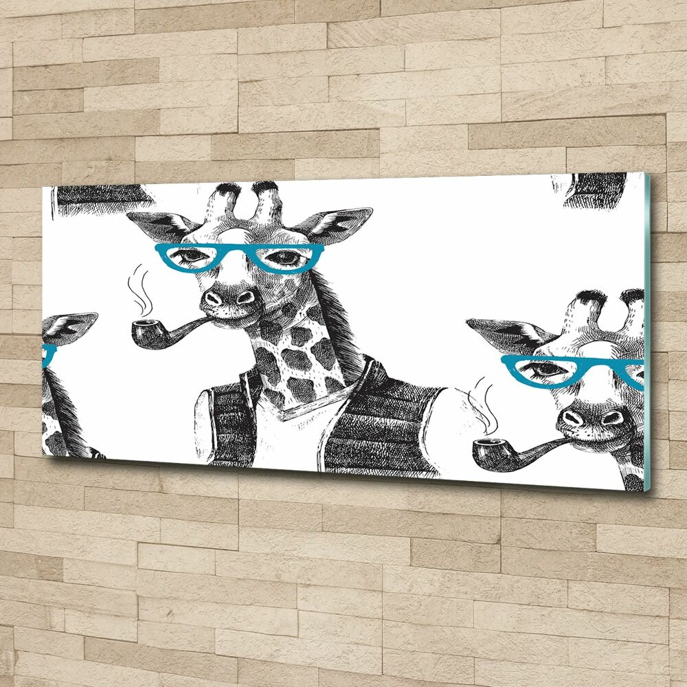 Obraz zdjęcie akryl Żyrafa w okularach