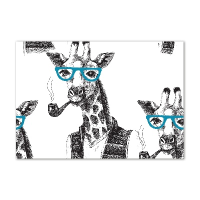 Obraz zdjęcie akryl Żyrafa w okularach