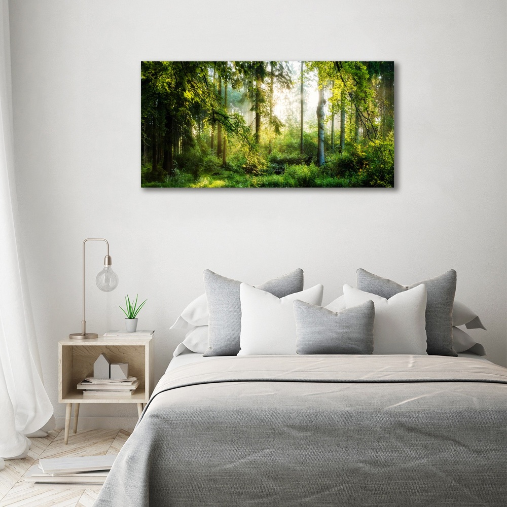 Foto obraz akryl Poranne słońce las