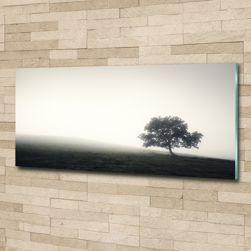 Foto obraz szkło akryl Samotne drzewo