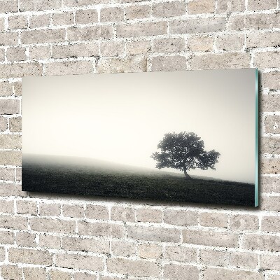 Foto obraz szkło akryl Samotne drzewo