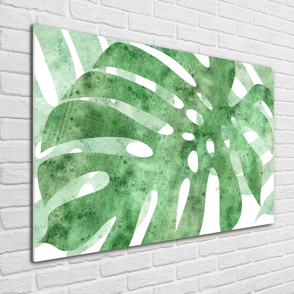 Obraz zdjęcie na ścianę akryl Monstera