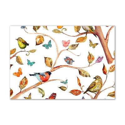 Obraz zdjęcie szkło akryl Ptaki i motyle