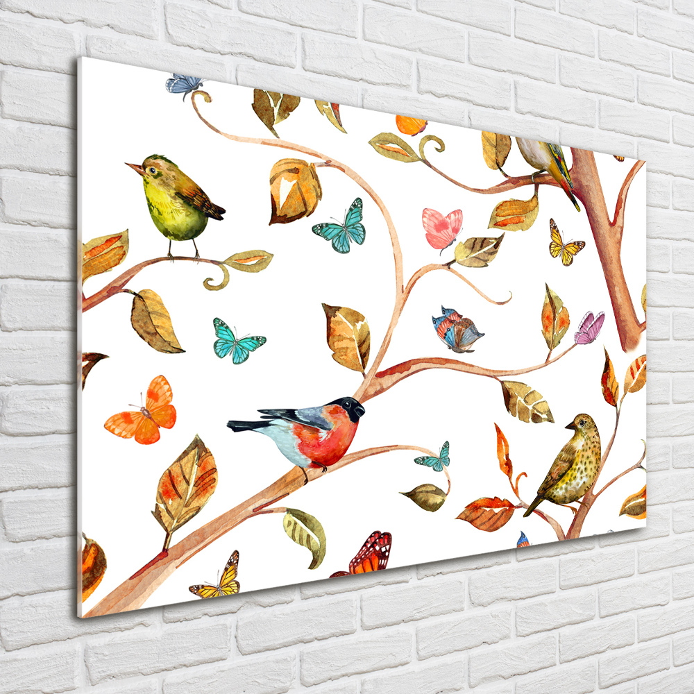 Obraz zdjęcie szkło akryl Ptaki i motyle