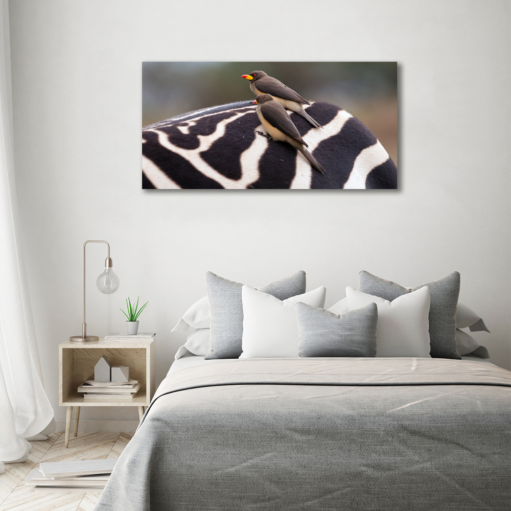 Foto obraz szkło akryl Ptaki i zebra