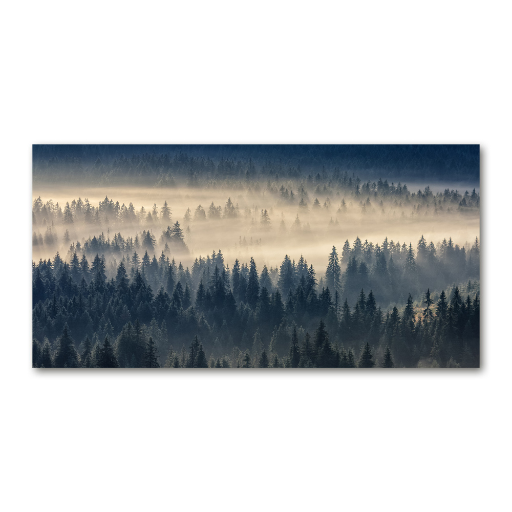 Foto obraz szkło akryl Mgła nad lasem