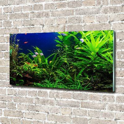 Foto obraz szkło akryl Ryby w akwarium