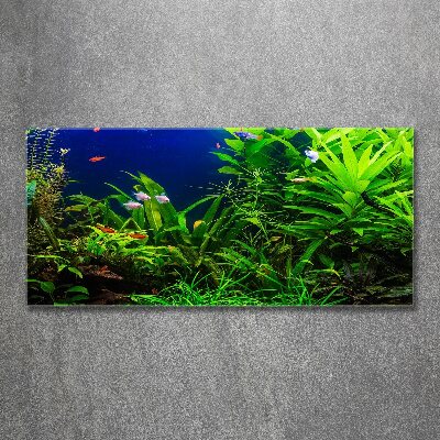 Foto obraz szkło akryl Ryby w akwarium