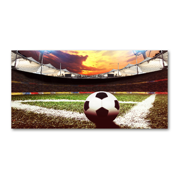 Foto obraz akryl Piłka na stadionie