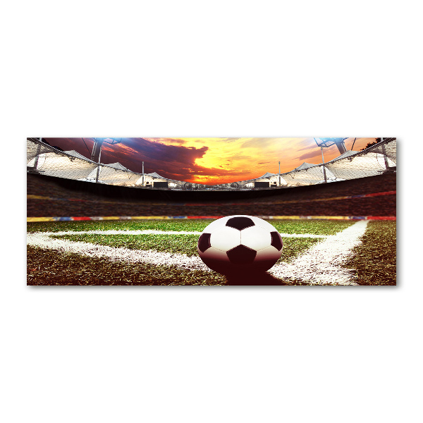 Foto obraz akryl Piłka na stadionie