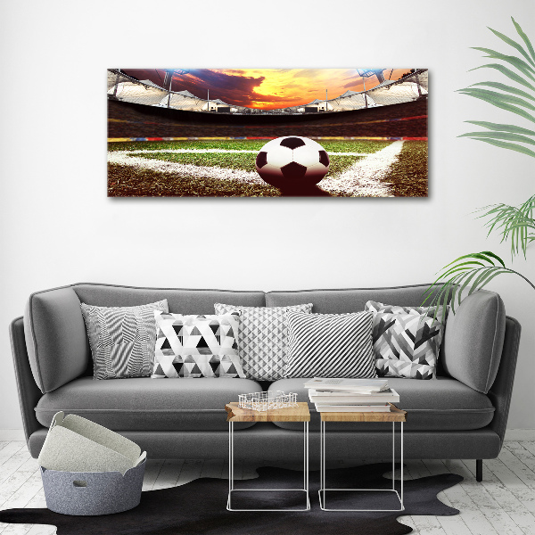 Foto obraz akryl Piłka na stadionie