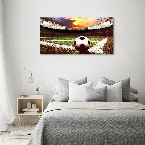 Foto obraz akryl Piłka na stadionie