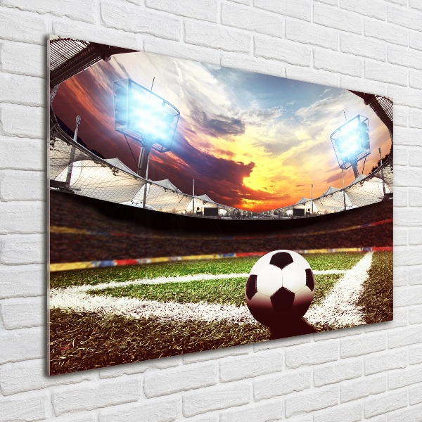 Foto obraz akryl Piłka na stadionie