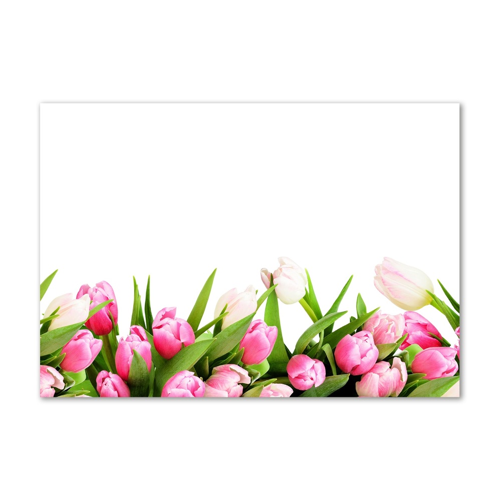 Obraz zdjęcie szkło akryl Różowe tulipany