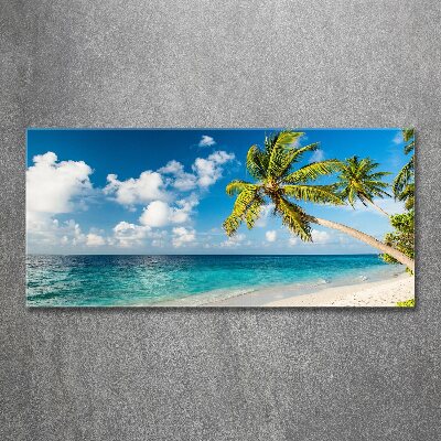 Foto obraz szkło akryl Malediwy plaża