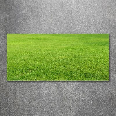 Foto obraz szkło akryl Zielona trawa