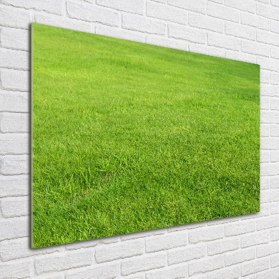Foto obraz szkło akryl Zielona trawa