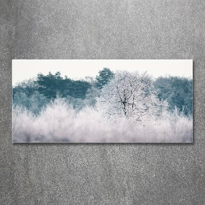 Foto obraz szkło akryl Drzewa zimą