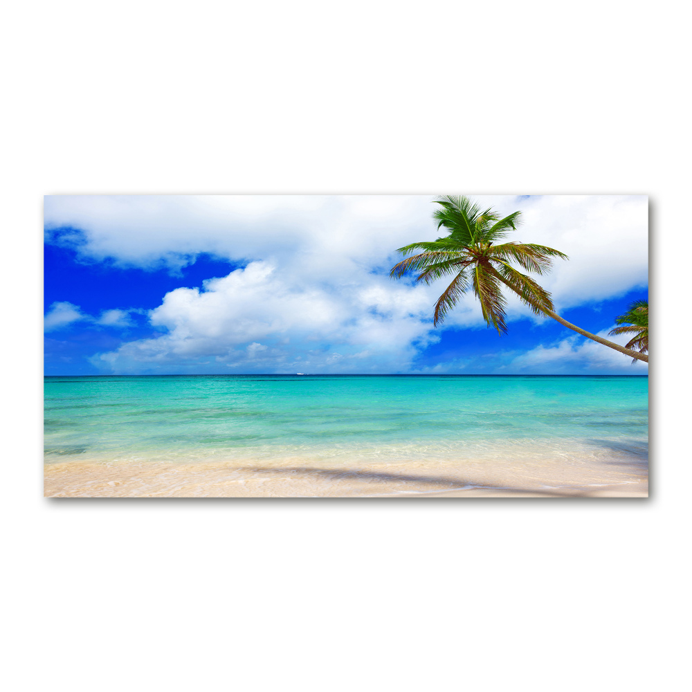 Foto obraz szkło akryl Karaiby plaża