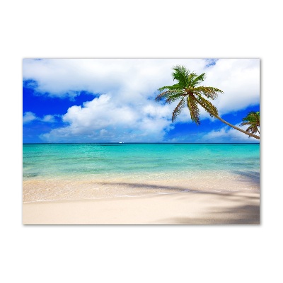 Foto obraz szkło akryl Karaiby plaża