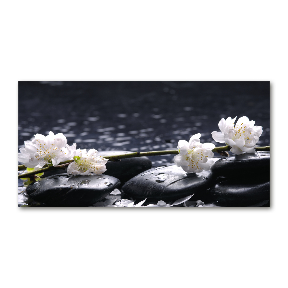 Obraz zdjęcie szkło akryl Kwiat wiśni